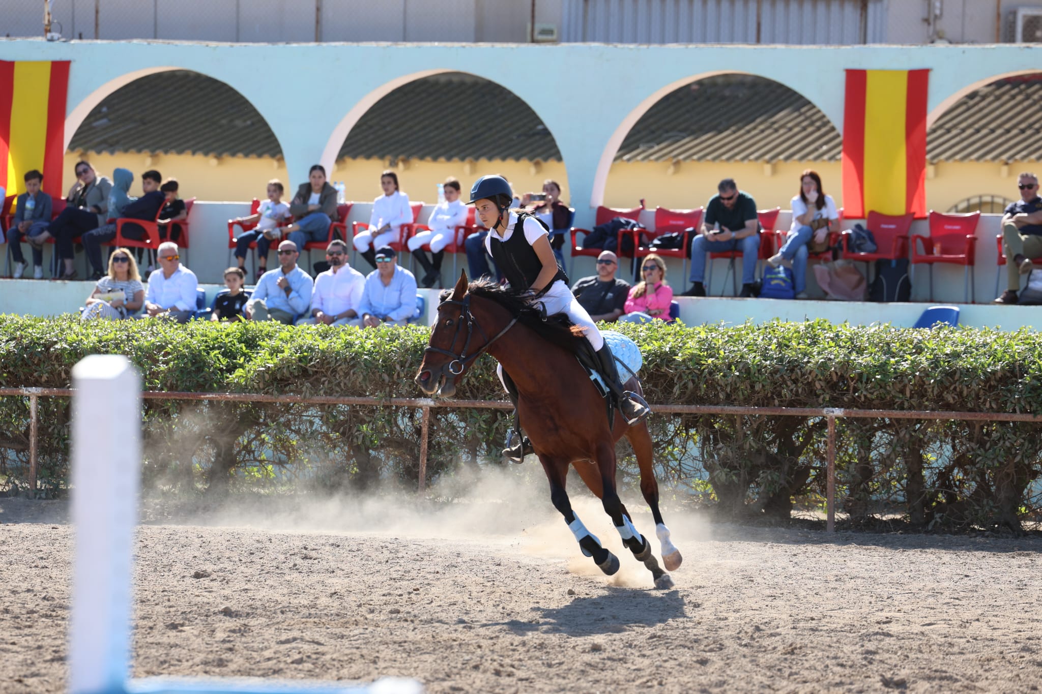Equitación en Hípica Melilla